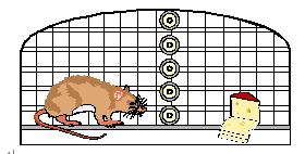 首页-PA真人集团有限公司官网