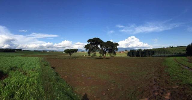 首页-PA真人集团有限公司官网
