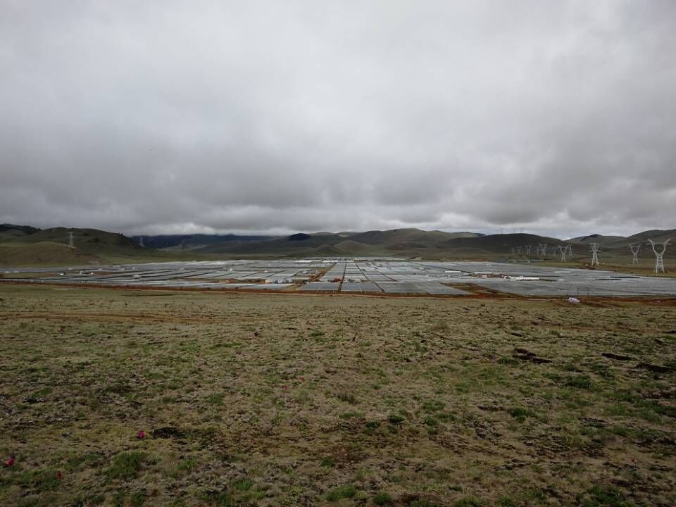 首页-PA真人集团有限公司官网