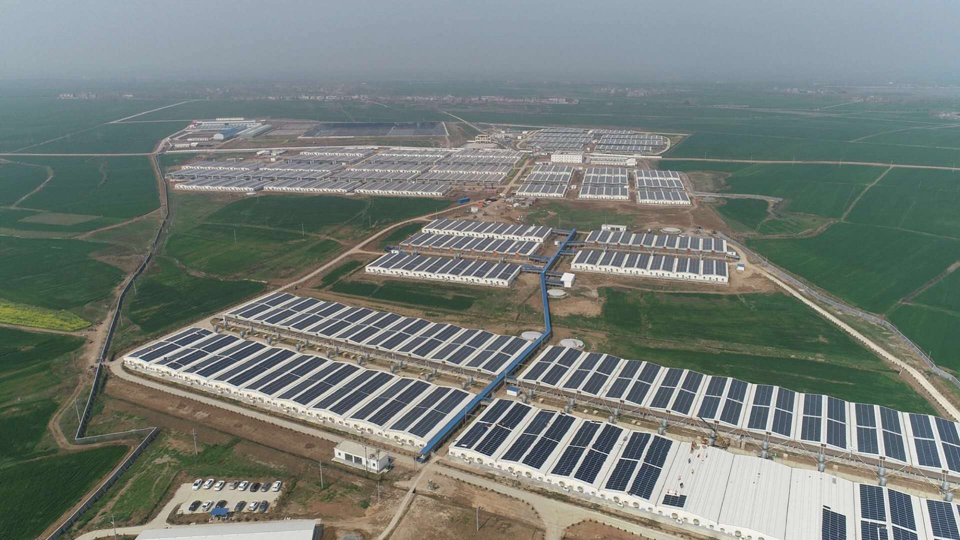 首页-PA真人集团有限公司官网