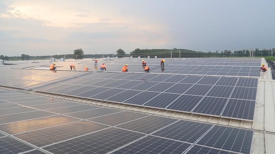 首页-PA真人集团有限公司官网