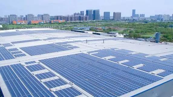 首页-PA真人集团有限公司官网