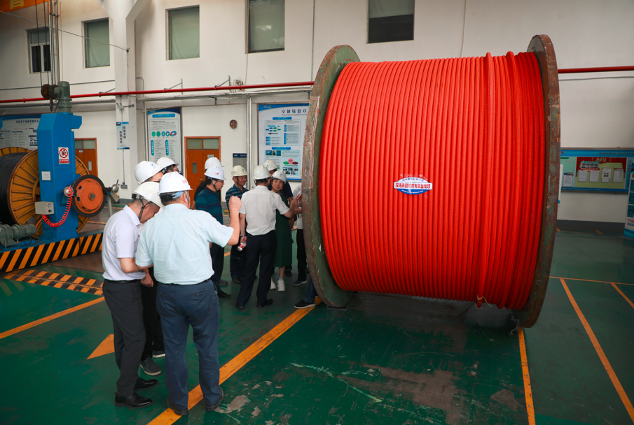 首页-PA真人集团有限公司官网